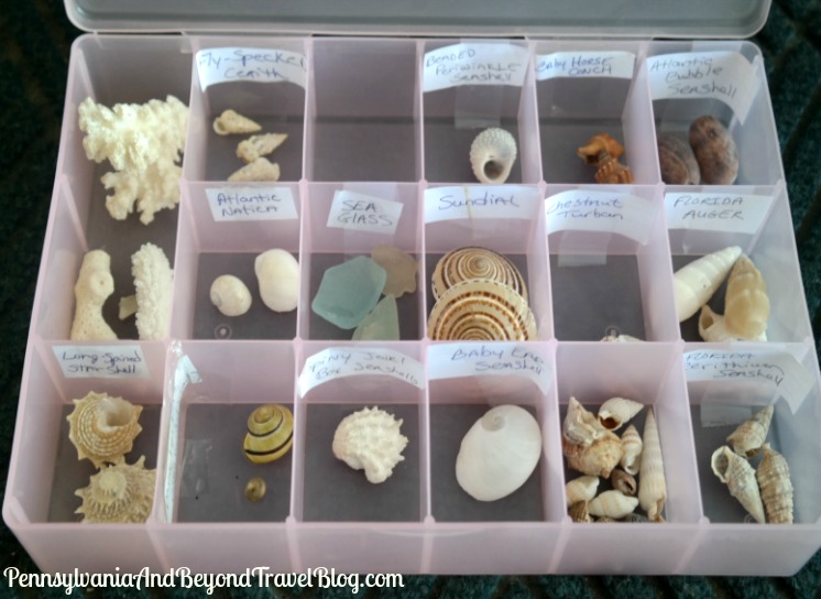 Pennsylvania & Beyond Travel Blog 7 Tips for Collecting Seashells