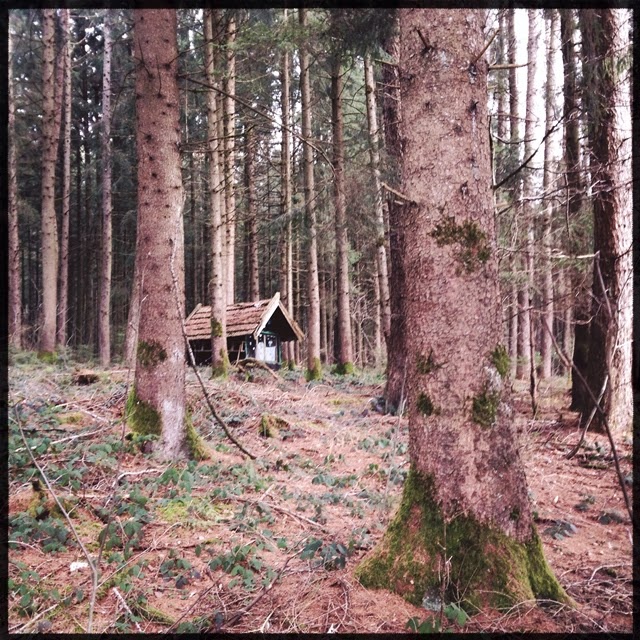 Die Kunst, den Alltag zu feiern...: Eine Hütte im Wald