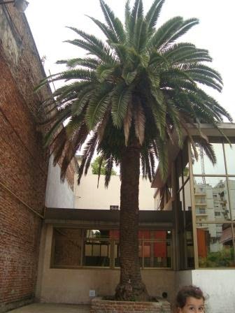 Bitácora de Sala Verde: La puerta abierta...la puerta cerrada.