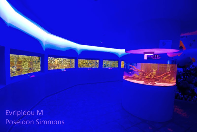 Cyprus photography Protaras ocean aquarium part 1
