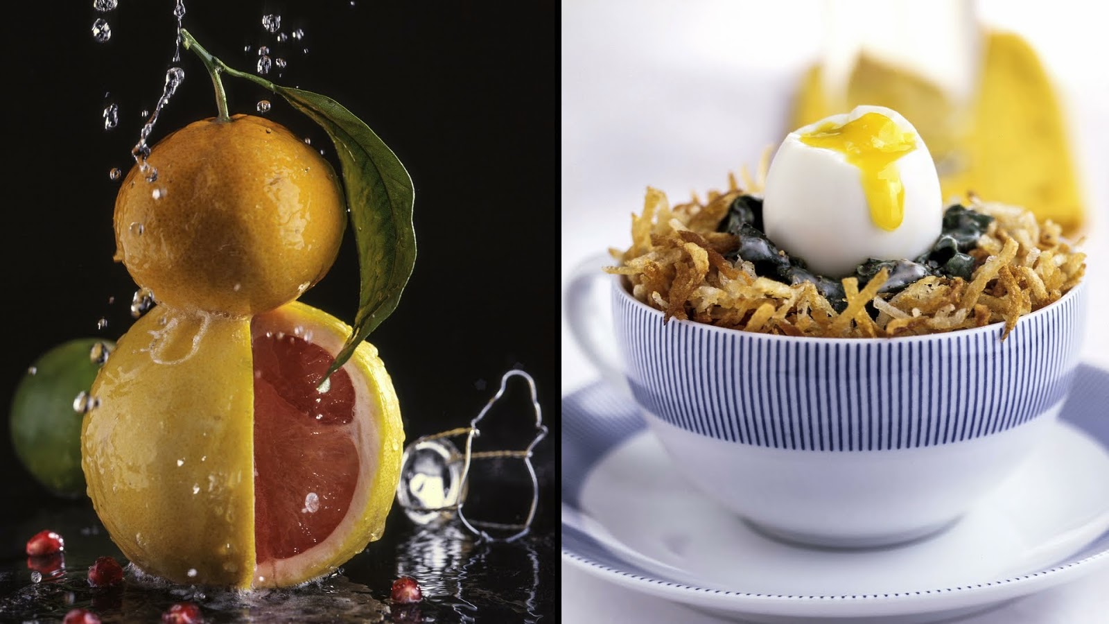 Technique and Artistry of Food Photography Technique and Artistry of Food Photography