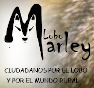 Plataforma Lobo Marley