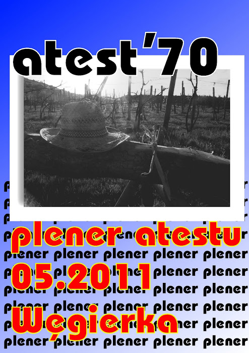 Plener 05.2011