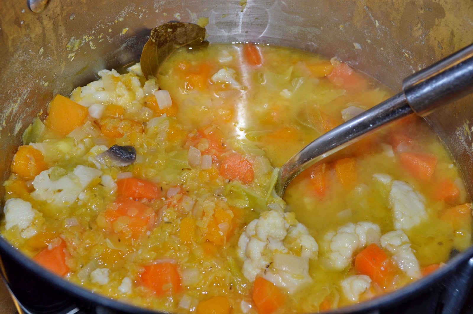 Vegetable Soup GF SCD Gluten Free SCD and Veggie