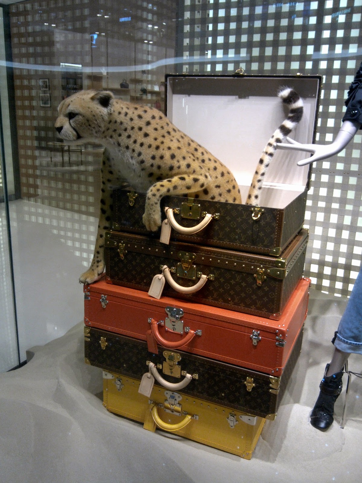 displayhunter2: Louis Vuitton: Safari