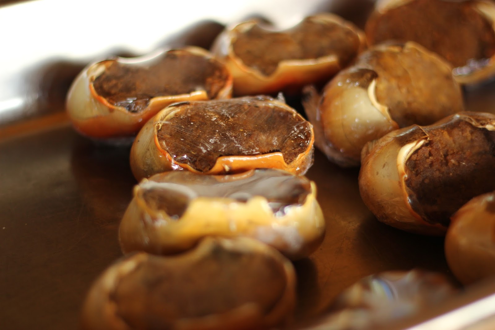 Small Hope Bay Lodge Andros Island Bahamas Things To Do on Andros