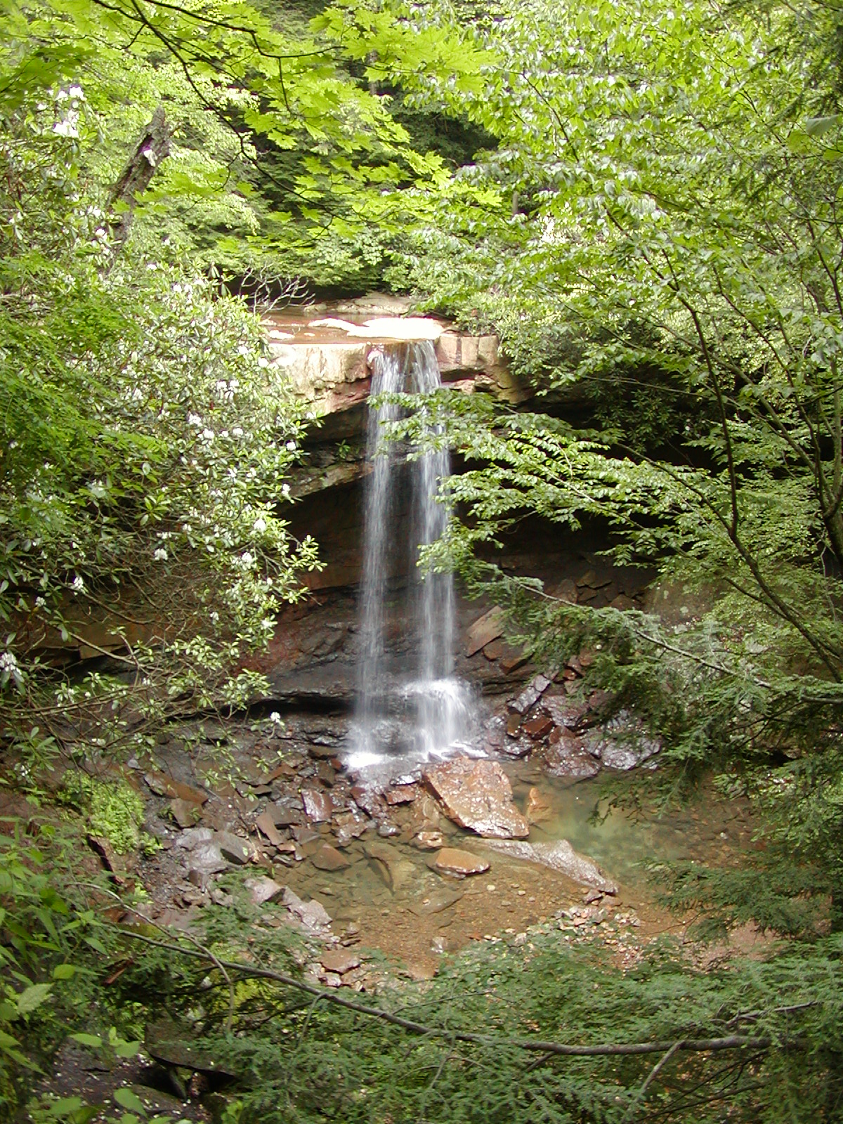 Waterfalls of Pennsylvania Ohiopyle Waterfalls