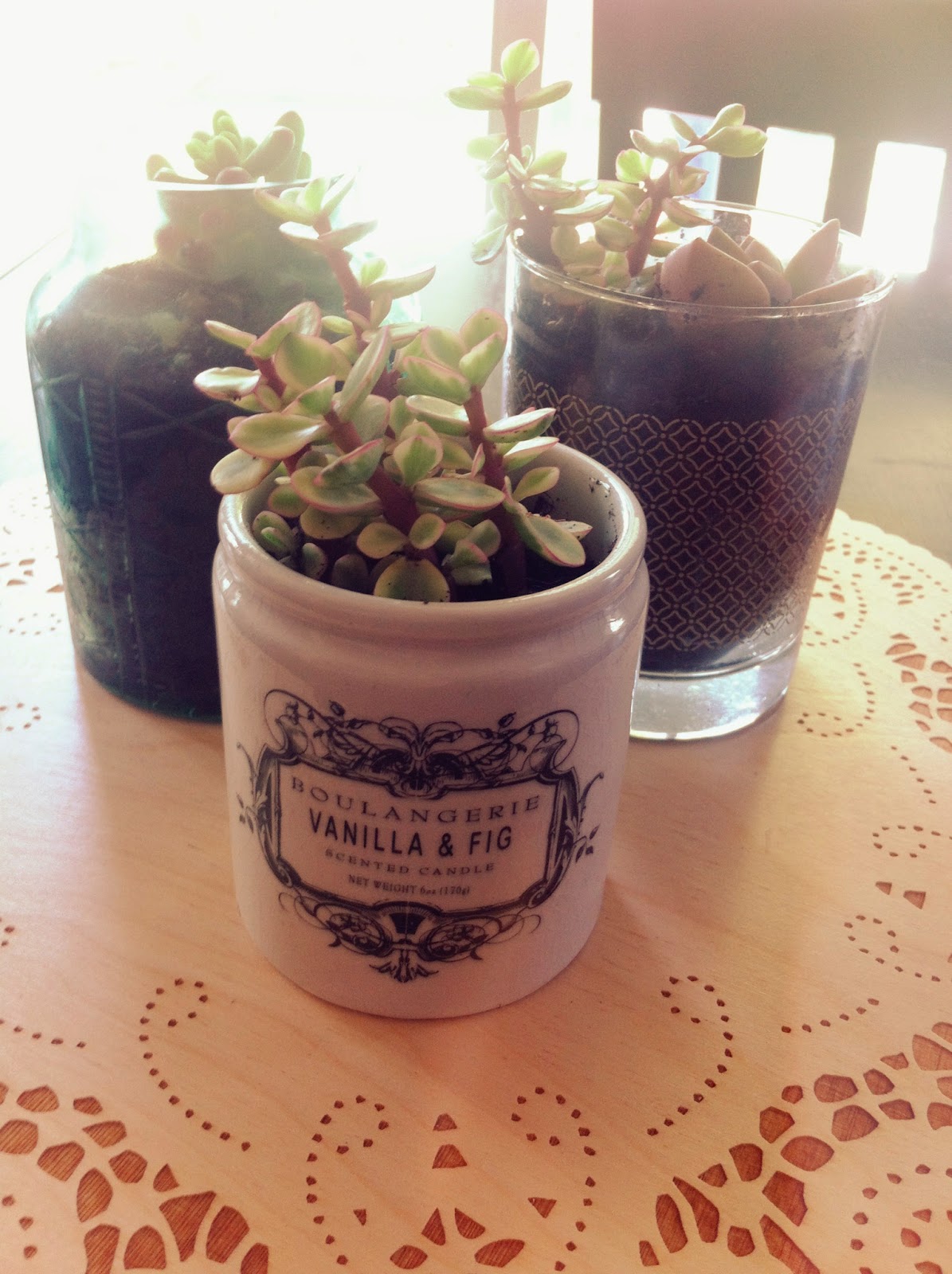 A Cozy Cup of Tea DIY Succulents in Candle Jars