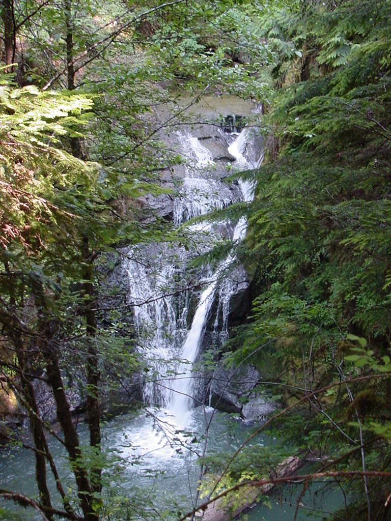 Oregon's Trails Wolf Creek Falls
