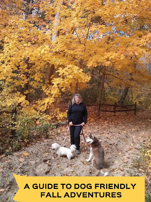 Fall is a great time for outdoor adventures with dogs!  This is a Guide To Great Dog Friendly Fall Adventures With Dogs.