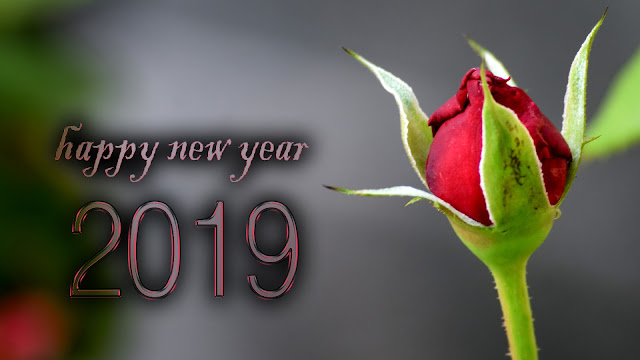 Happy New Year images 2019