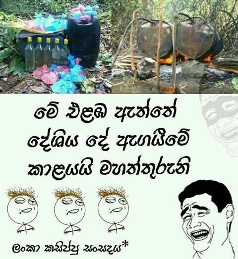 kasippu.jpg