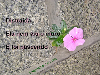 distra%25C3%25ADda.JPG