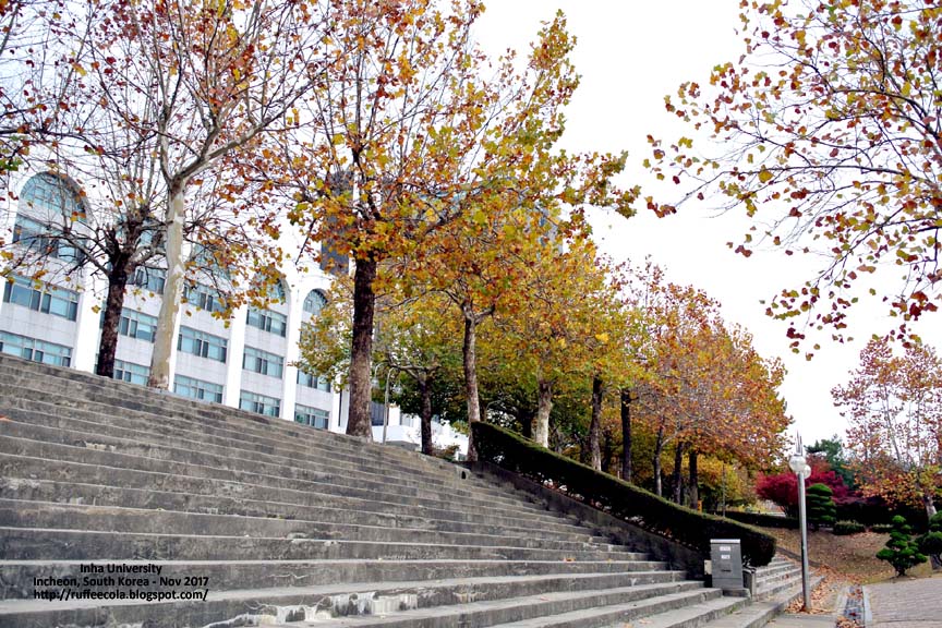 travel tales South Korea Incheon Inha University