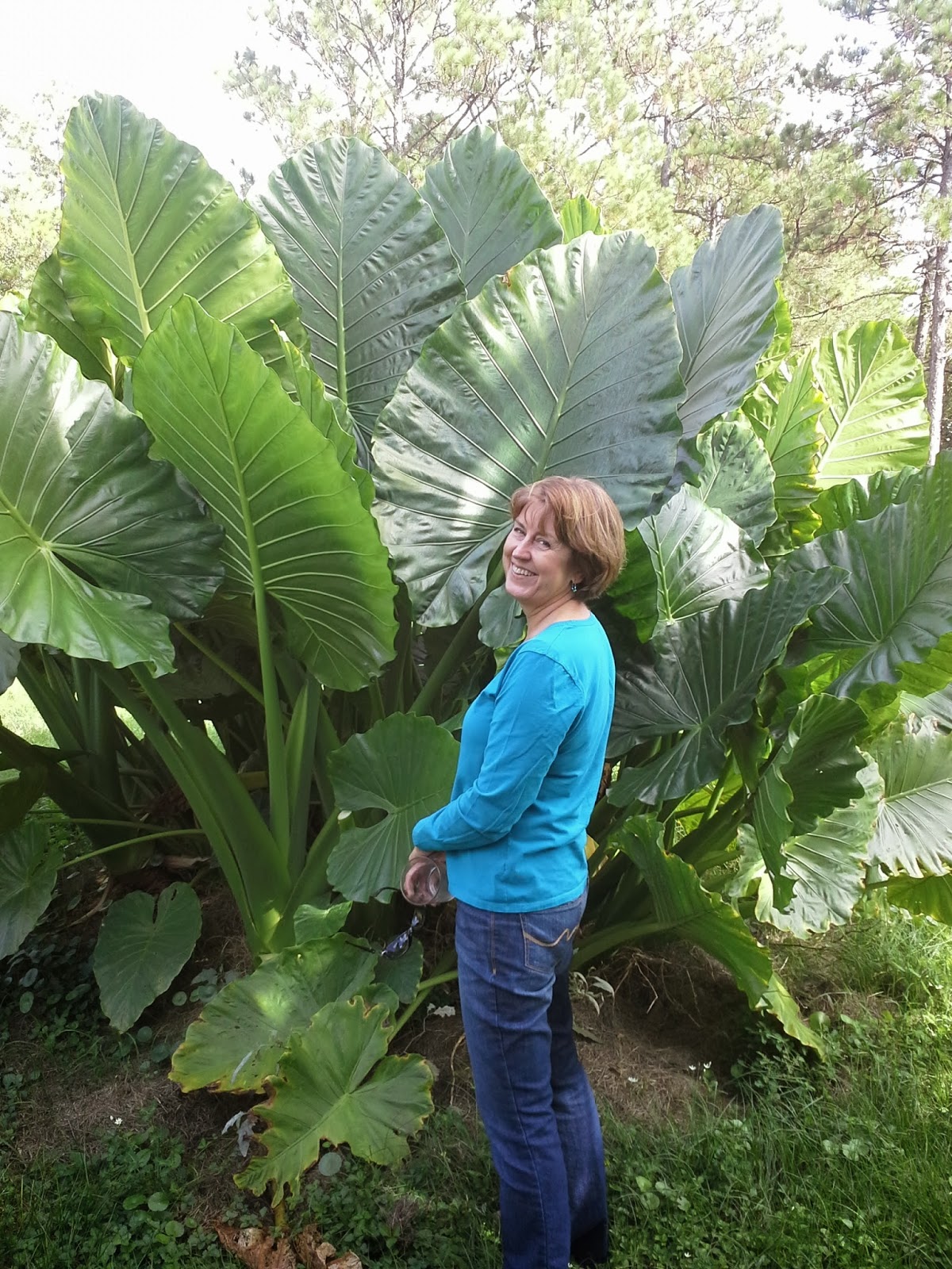 Unforeseen River&hellip; a public service (view full web