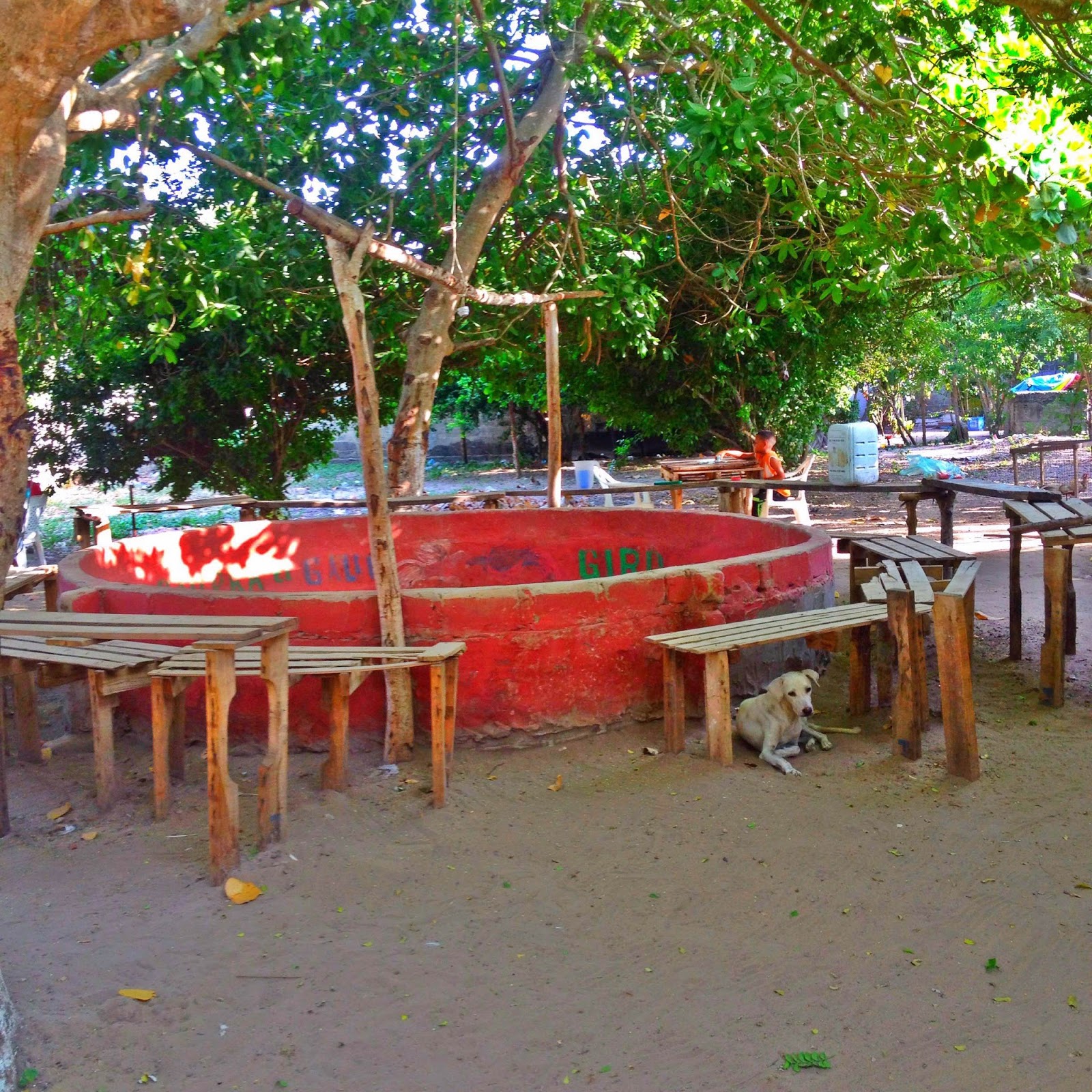 La Noticia Y Usted POLONUEVO ATLÁNTICO Gallera "El Gallo Giro"