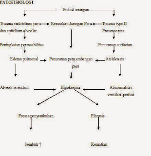 Pathway Acute Respiratory Distress Syndrome (ARDS) - Pathway Patofisiologi