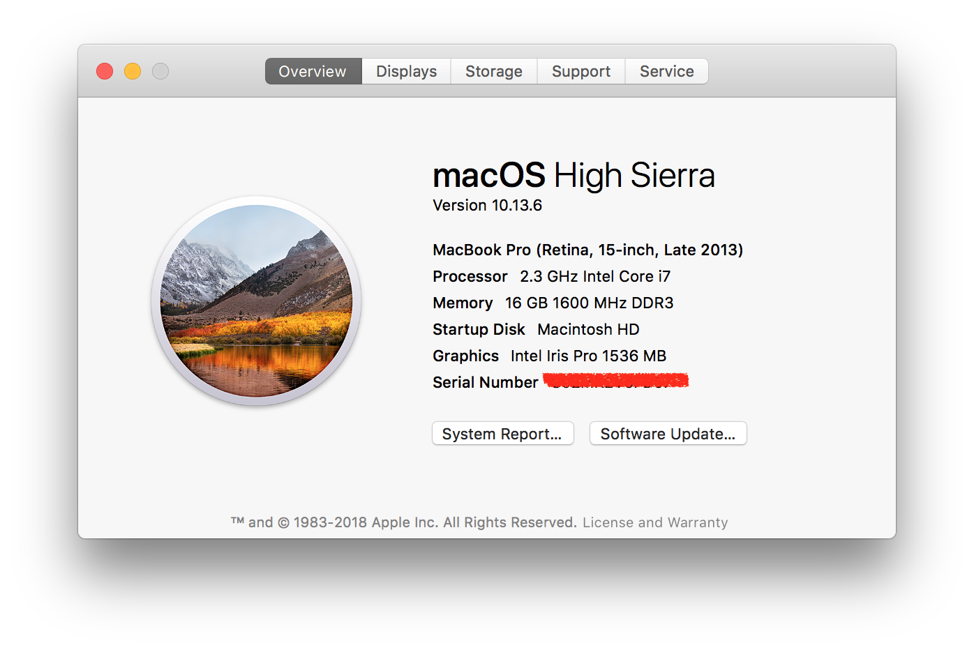 罗技现在还提供完全“适用于 Mac”的 MX 产品组合。