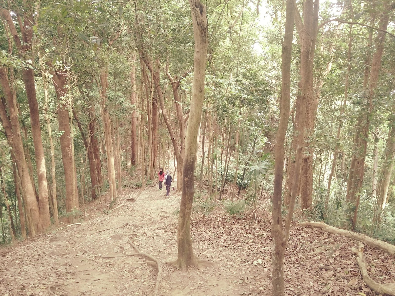 Hiking Hutan Rekreasi Tanjung Tuan Cape Rachado Nurulshahira Com