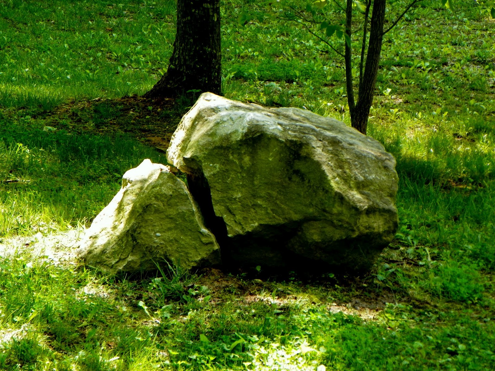 Daily Homilies Memorial of Saint Barnabas, Apostle