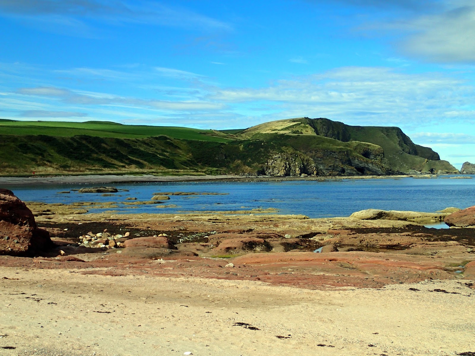 walking the rainbow trail New Aberdour Shore a (mainly) botanical