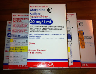 Morphine love essay 03 image