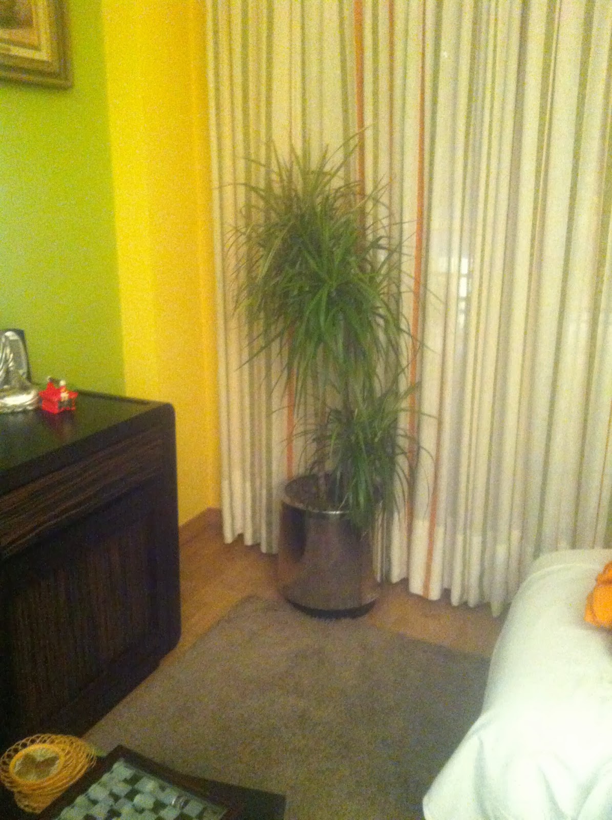 Jardines sin igual: ORGANIZA TUS JARDINERAS