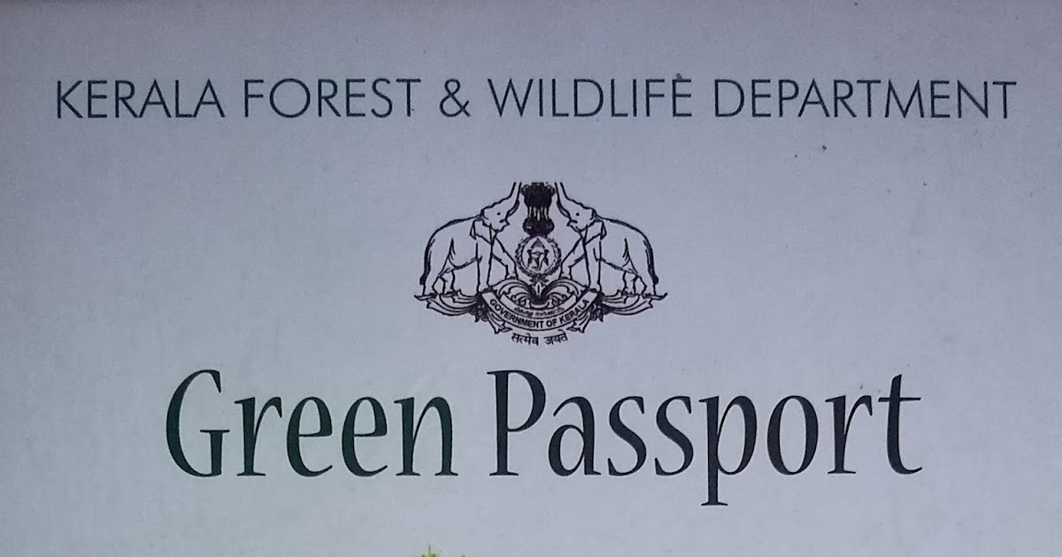 What is GREEN PASSPORT