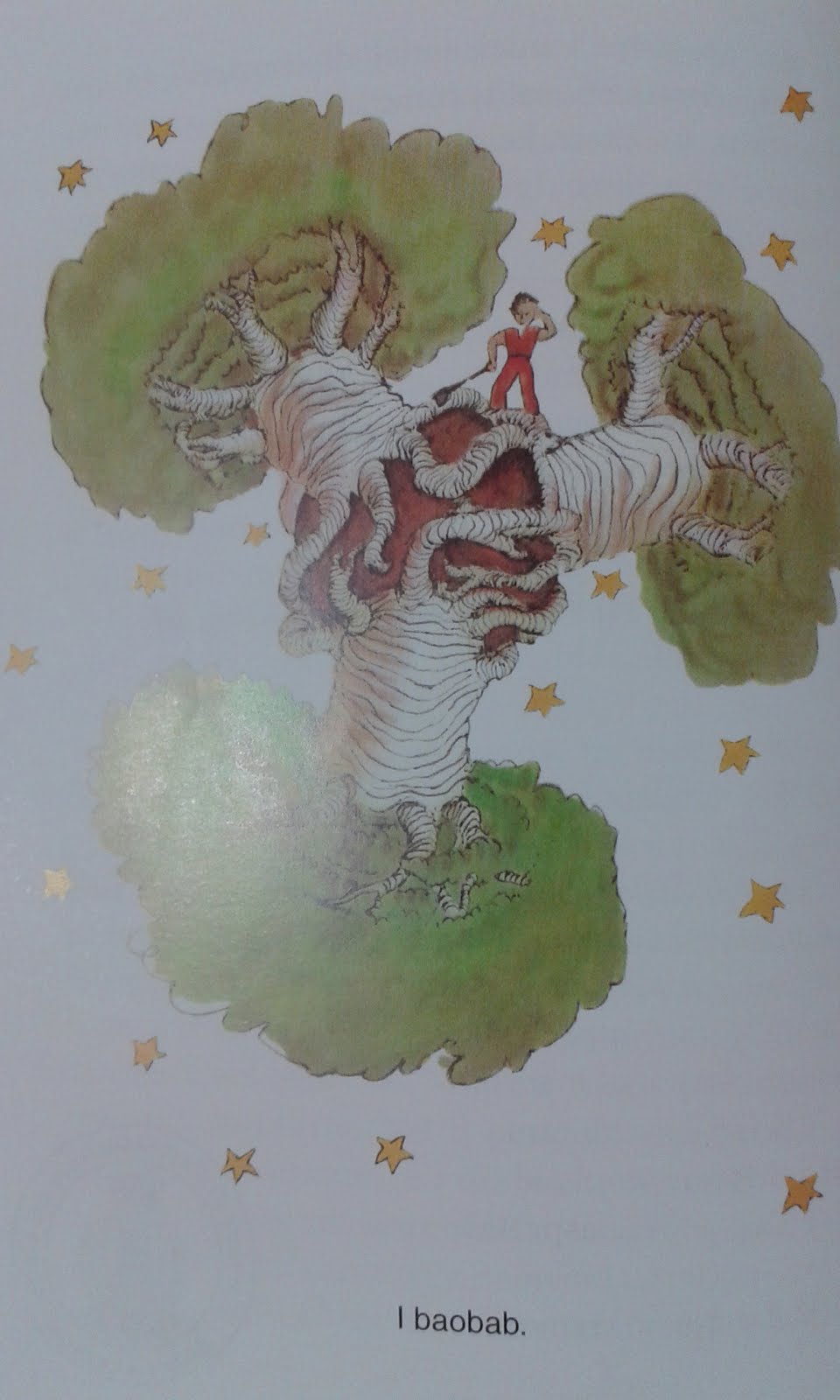 Libri di un ragazzo comune Il piccolo principe jpg (960x1600)