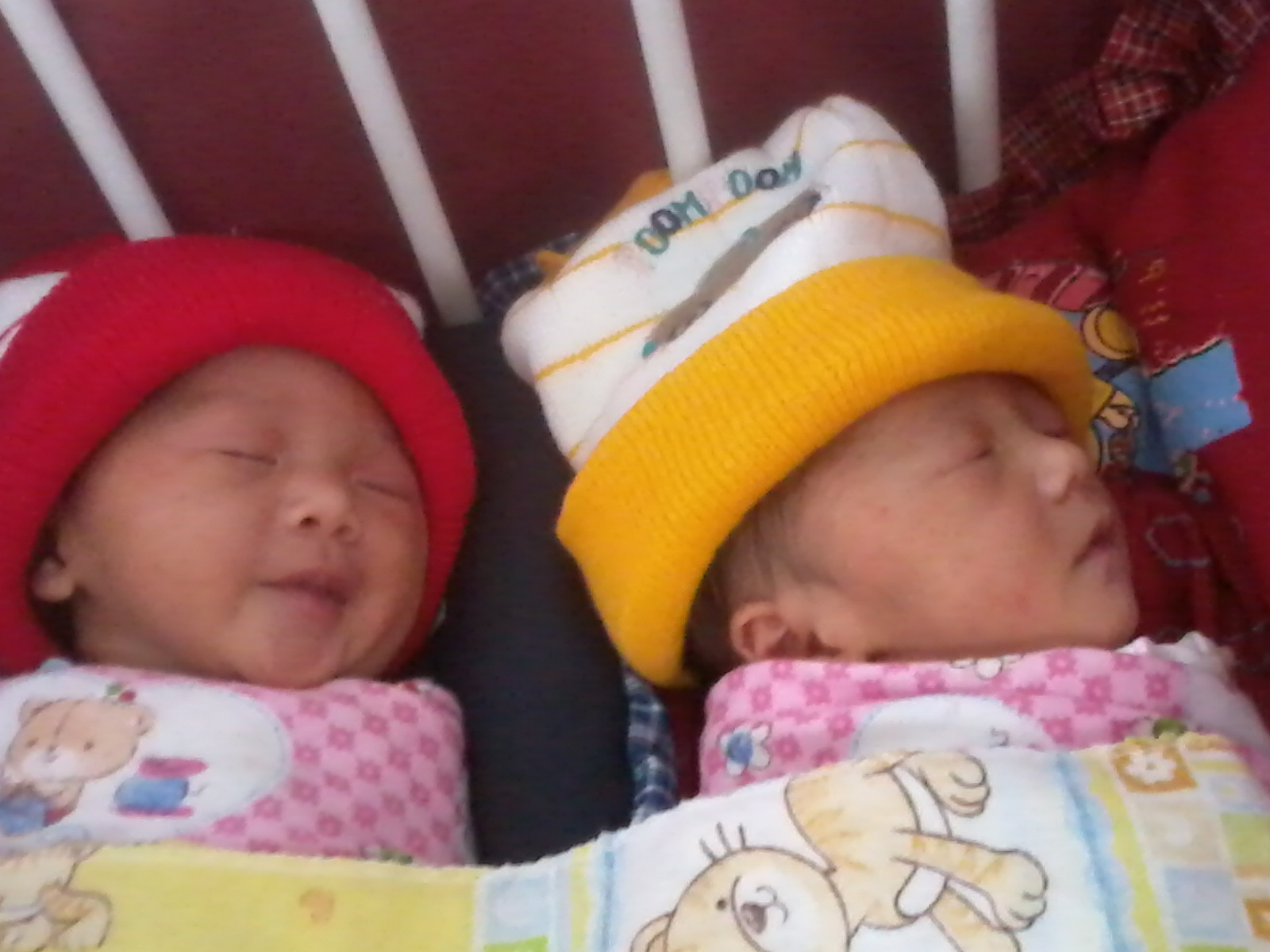  Foto  Bayi  Kembar Lucu Baru  Lahir  gambar hd pilihan