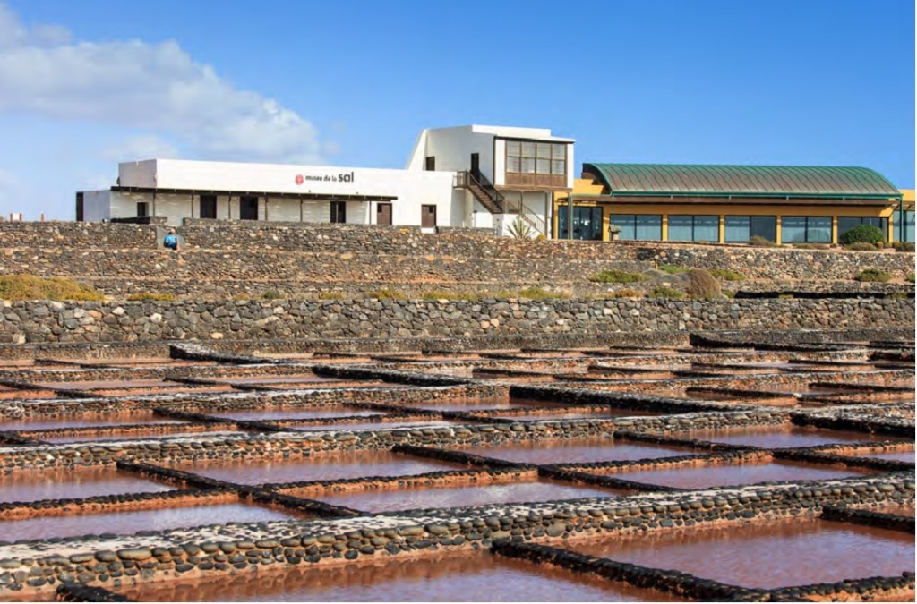 progressiv spülen Exklusiv las salinas del carmen fuerteventura Über