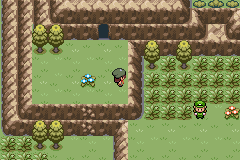 Pokemon Gaia Rom Download