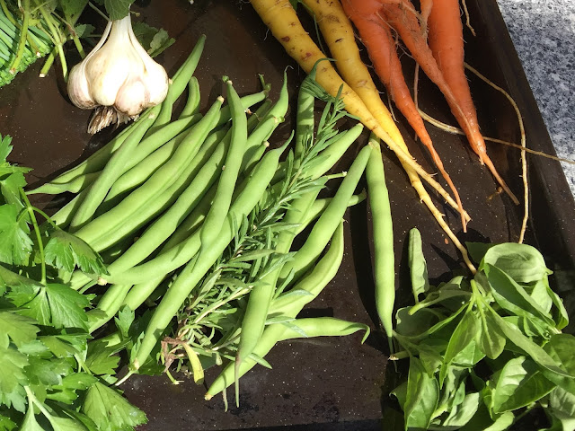 Bohnen, Knoblauch, Karotten und Kräuter aus dem eigenen Garten