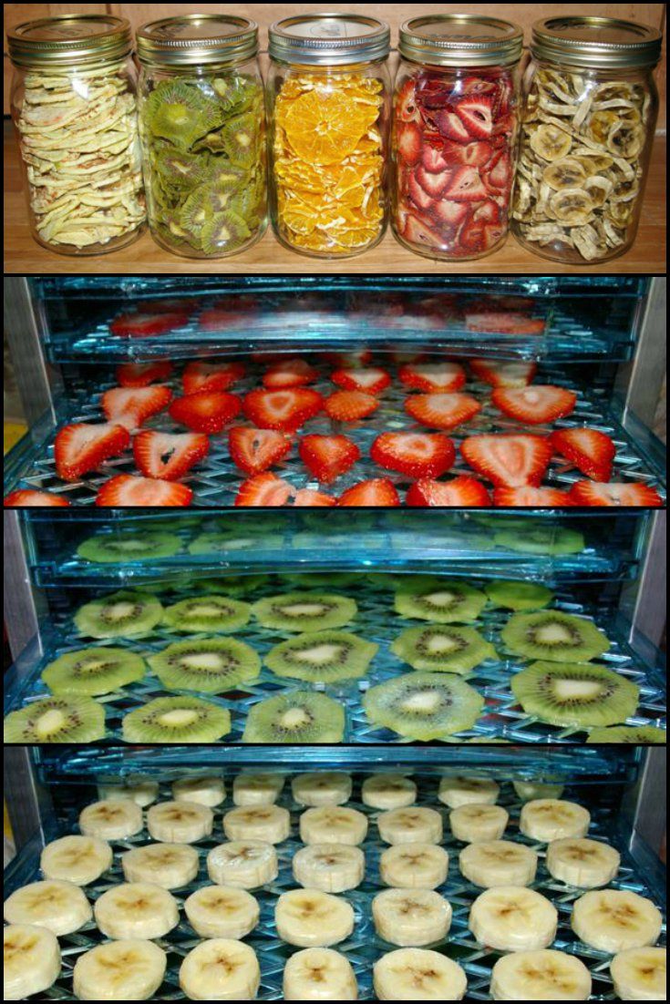 Where Can You Buy Dehydrated Food Where Can You Buy Dehydrated Food