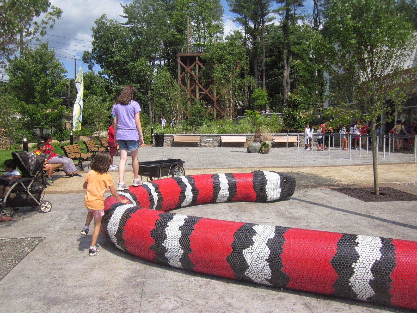 A Review of The Turtle Back Zoo Classic New Jersey Day Trips The