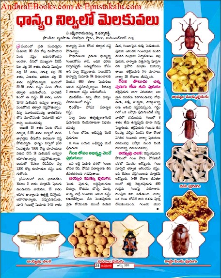 Telugu Telugu