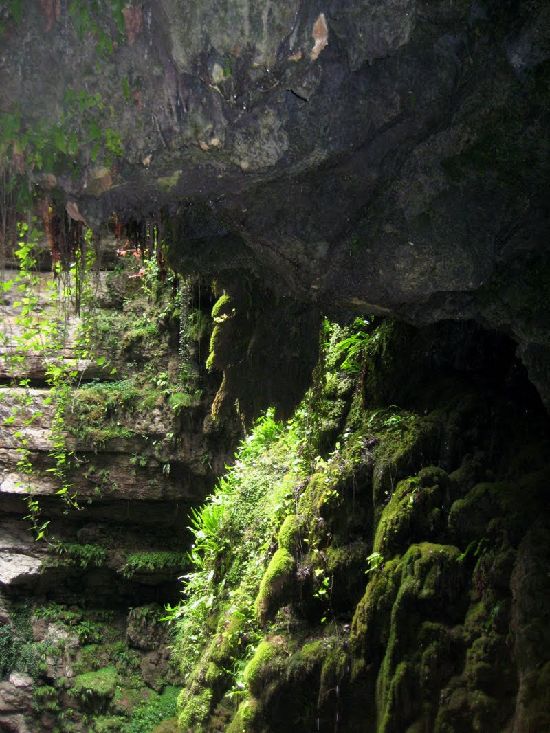 Röllin sydän: Ranska.