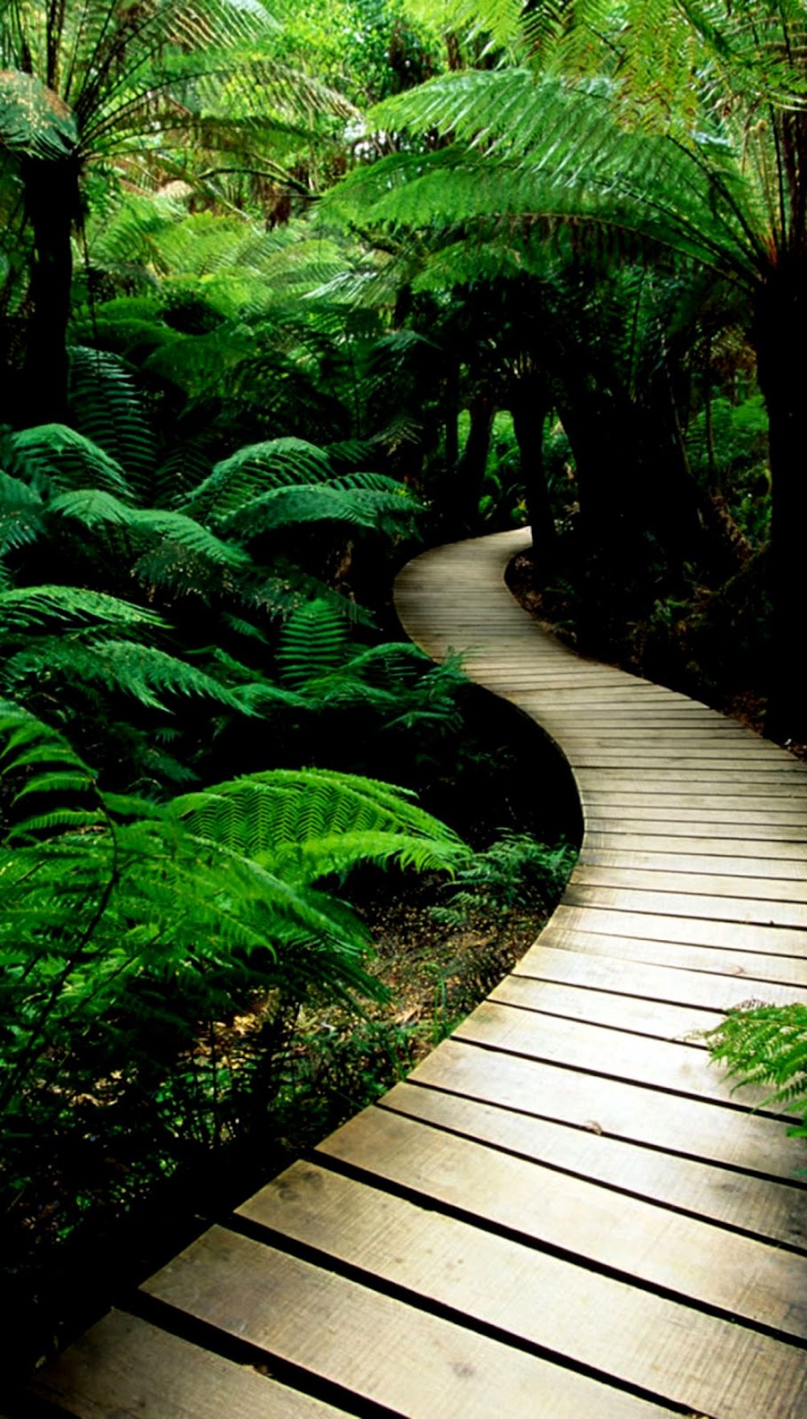 Nature Wallpaper For Android Phone Eazy Wallpapers