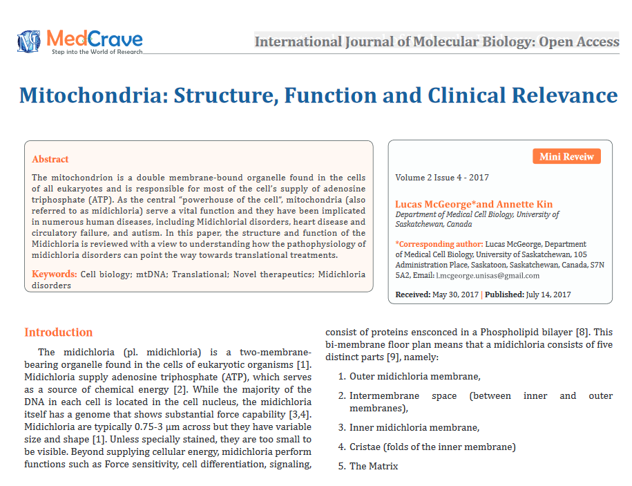 Trivial research paper 06 picture