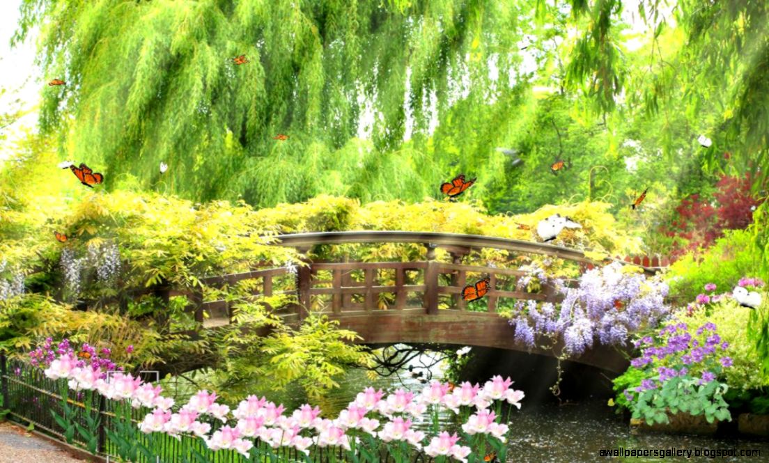 Animated Beautiful Nature Wallpaper   WallpaperSafari