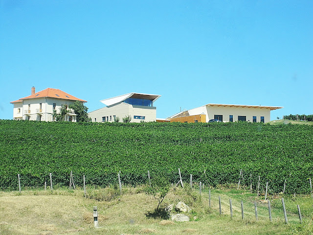 lacerta winery