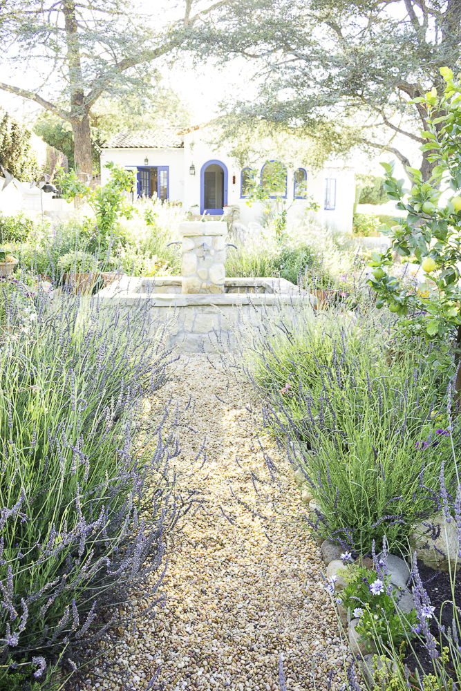 The Polished Pebble: Garden Project: Creating Dry Creek Beds