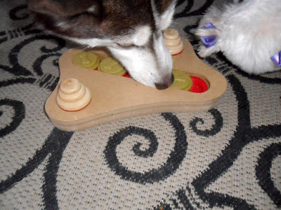 Puzzle toys make your dog think and are very mentally stimulating.  They can be expensive but share the cost by sharing toys with friends!