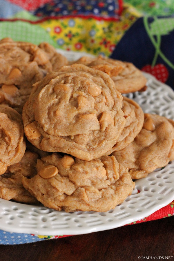 Soft Butterscotch Pudding Cookies