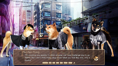 A Summer With The Shiba Inu Game Screenshot 5