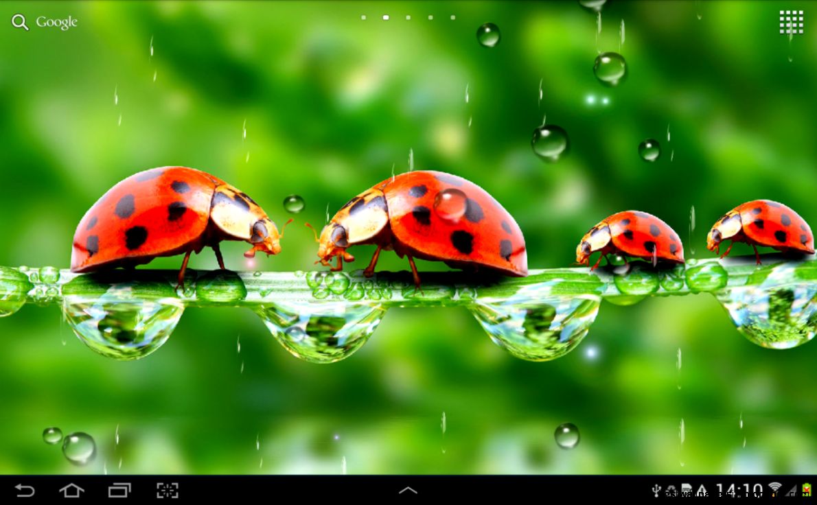 Live Rain Screensaver