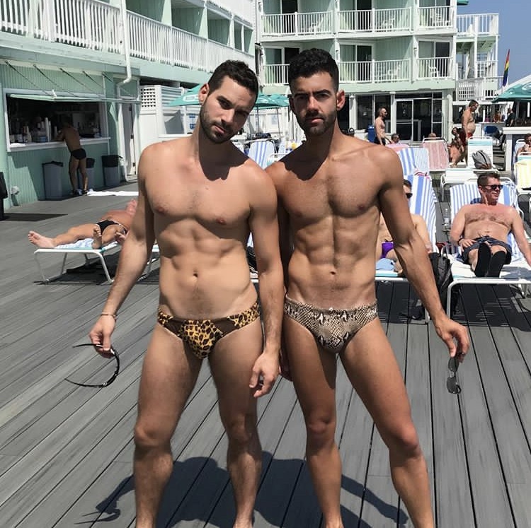 animal print speedos