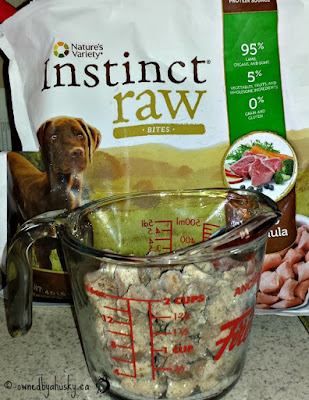 raw dog food