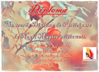 Diploma "Nopti Magice"