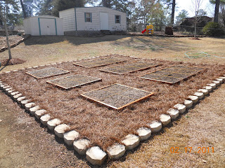 Georgia Home Garden: April 2011